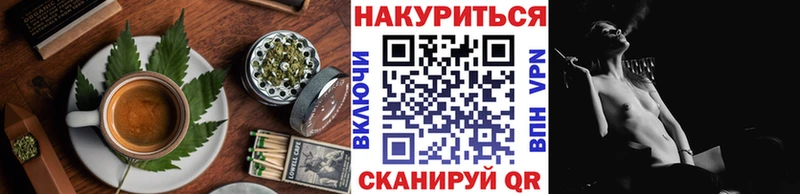 Canna-Cookies конопля Жиздра