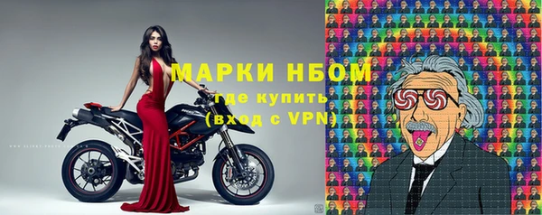 сатива Магас