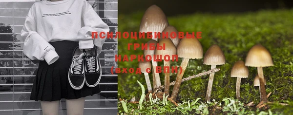 сатива Магас