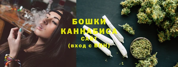 гидра Медногорск