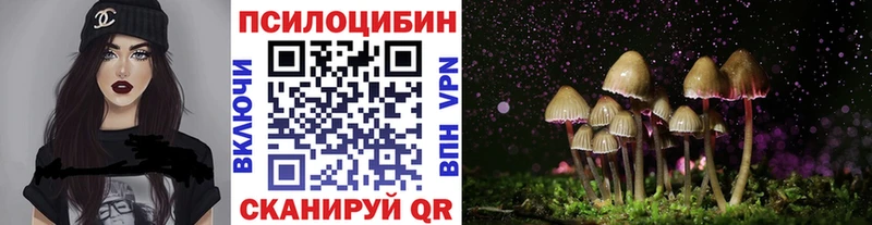 мега ссылка  дарнет шоп  Жиздра  Псилоцибиновые грибы мухоморы 